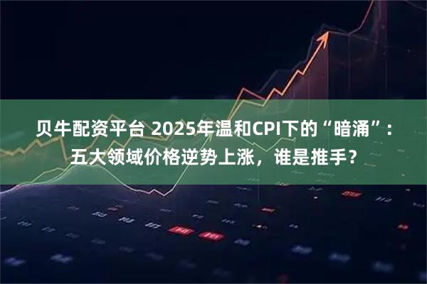贝牛配资平台 2025年温和CPI下的“暗涌”：五大领域价格逆势上涨，谁是推手？