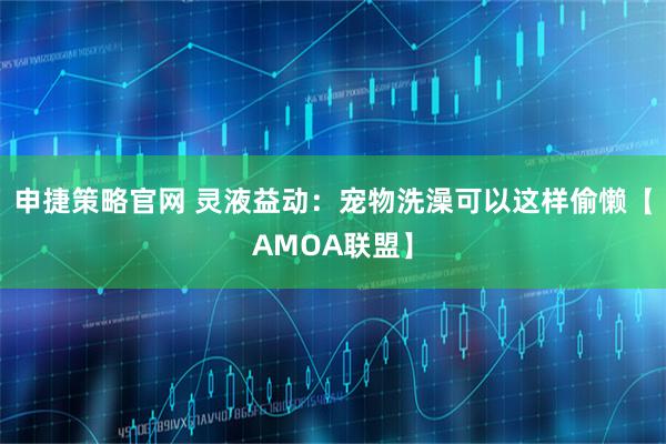 申捷策略官网 灵液益动：宠物洗澡可以这样偷懒【AMOA联盟】